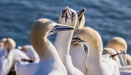 乐鱼体育-西班牙网球小将爆冷晋级四强，年终赛制造黑马奇迹，西班牙男子网球名将的名字