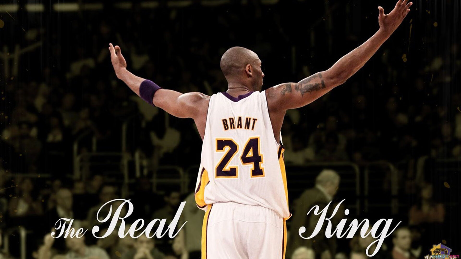 体育新闻中心协办高校体育媒体融合交流会，体育媒体服务